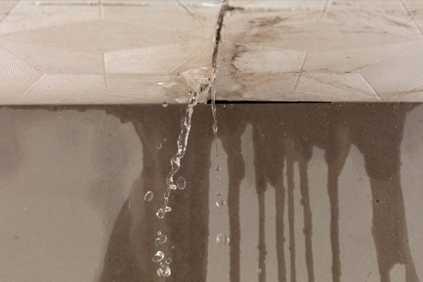 Professional Structural Drying technician working in Old Greenwich, CT
